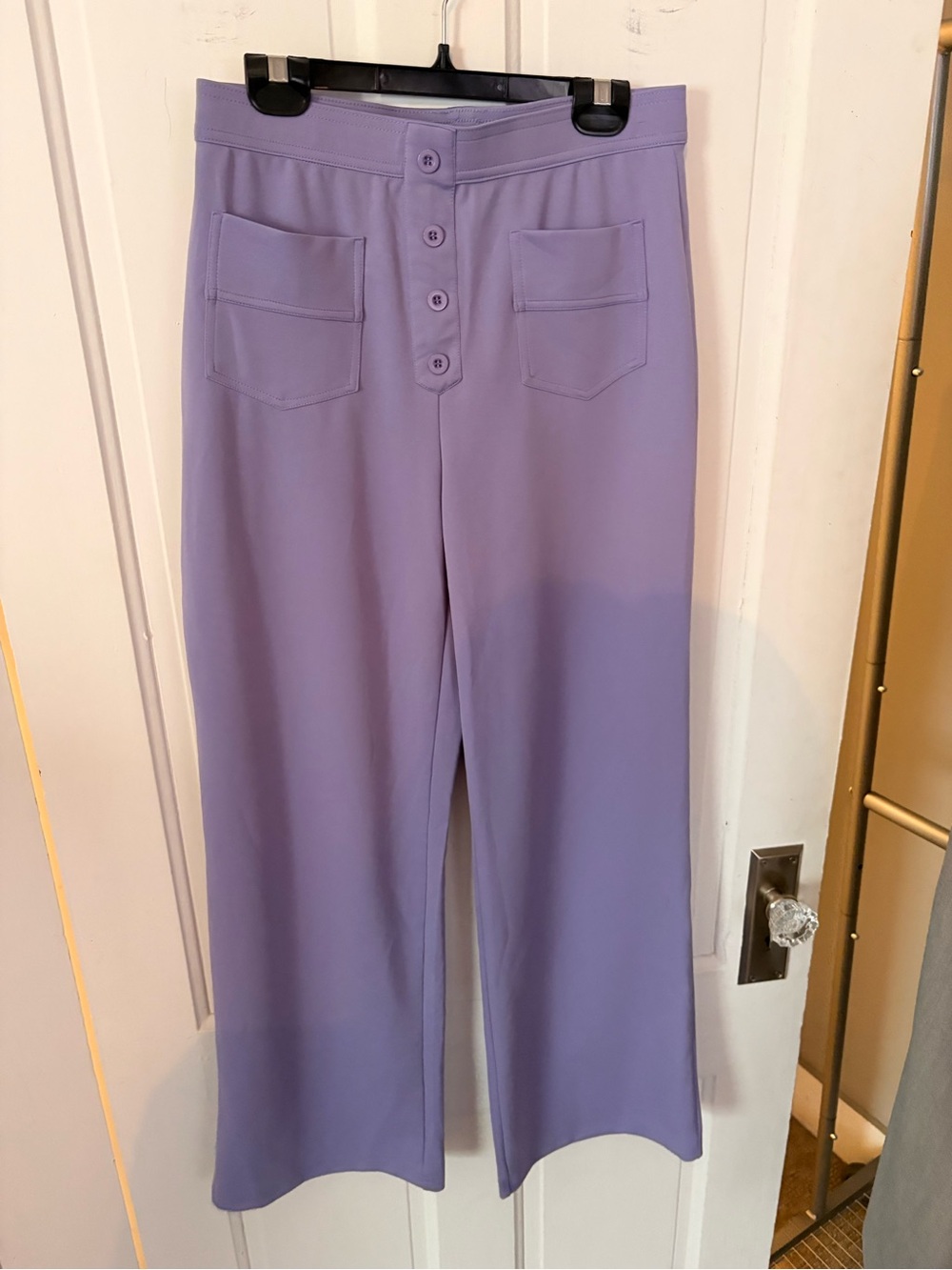 High-Waist Lavender Wide Leg Pants with Button Front